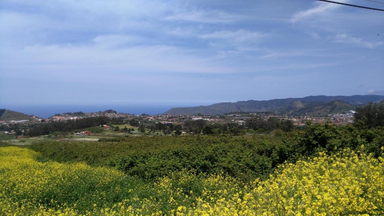 Apartamento Privado En Una Zona Tranquila Y Proxima Al Aeropuerto Tf Norte Y A La Ciudad De San Cristobal De La Laguna . Номер фото
